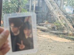 -济南野生动物世界