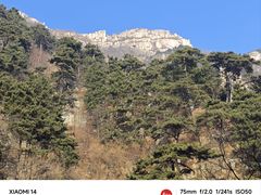 -泰山风景名胜区