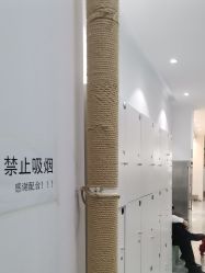 -芭迪高端儿童摄影(精选店)