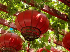 -顺承小院儿