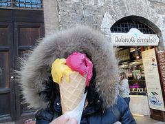 -Gelateria Dondoli