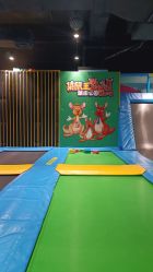 -袋鼠王蹦床公园(中信泰富万达广场嘉定新城店)