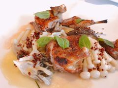 碳烤乳鸽，甜豆，旱金莲醋汁-Jean Georges