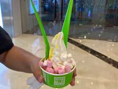 -Salud撒露欧洲冻酸奶(蓝色港湾店)