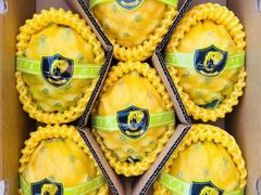 -海吉星国际农产品物流管理有限公司