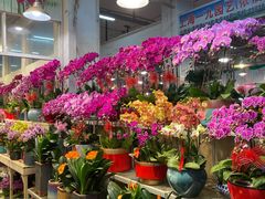 -双季花艺园艺市场(浦东店)