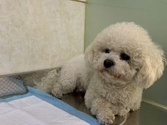 -天津前进宠物医院(前进道店)