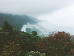 -广州市石门国家森林公园