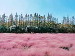 -嘉北郊野公园