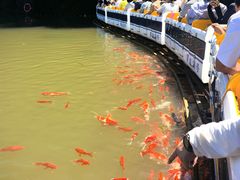 -陶祖圣境风景区