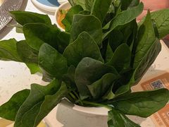 -左庭右院鲜牛肉火锅(长泰广场店)