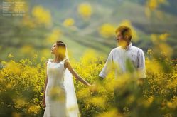 点击看大图 -DREAM HOUSE 梦想屋婚纱摄影