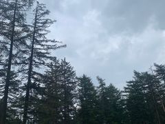 -芦芽山旅游度假区
