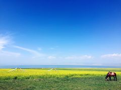 -青海湖国家重点风景名胜区