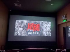 -华美国际影城(旧宫永辉店)