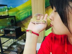 -藦茜花园宠物主题亲子互动体验馆(国顺东路店)