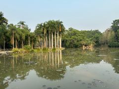 -中国科学院西双版纳热带植物园