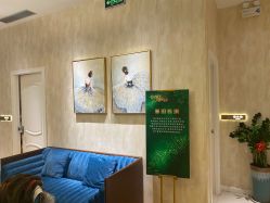 -诗媛嘉美健康管理中心(金桥店)