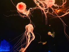 -波塞冬旅游度假区