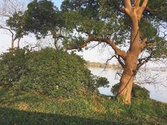 -西湖外事游船(花港观鱼码头)