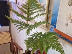 -Rabbit Cafe私房西餐甜点咖啡(栖霞路店)