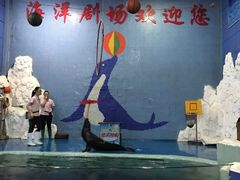 -左海海底世界