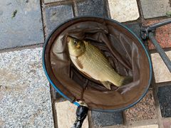 -酷鱼垂钓CLUB(朝阳区博大路店 )