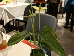 -眉州东坡(清河万象汇店)