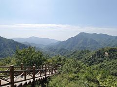 -大岭沟猕猴桃谷风景区