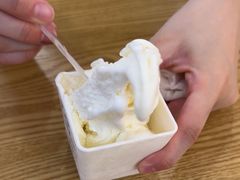 -野人先生Gelato(上海长宁龙之梦店)
