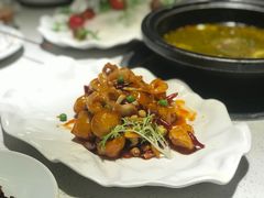-拈菜(观音桥阳光世纪店)