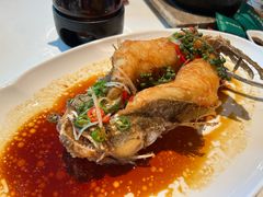 -侨美·唐荔园·40年地道粤菜