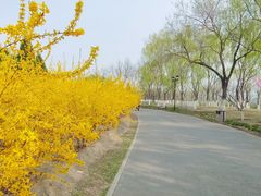 -永定河休闲森林公园