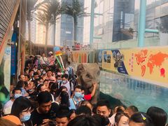 -成都浩海立方海洋公园