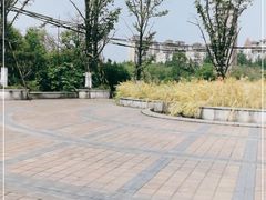 -同济大学(嘉定校区)