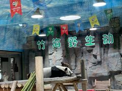 -栾川竹海野生动物园