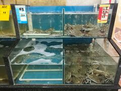 -渔民船说·北塘海鲜·天津菜·海肠捞饭(北塘古镇店)