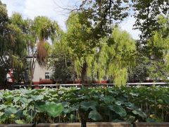 -四川大学(望江校区)