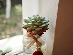 -MAISON门前杂货店