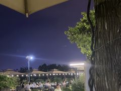 -蘇河湾·新鲁菜·泰山宴(泰山店)