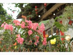 -行人小筑·茶馆(岑村火炉山分店)