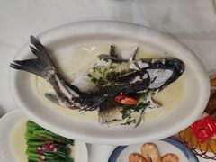 清蒸山坑鲩鱼-禄福山庄•顺德菜·融和菜(龙江店)