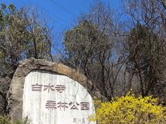 -白水寺森林公园