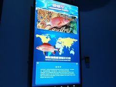 -海合安青岛极地海洋公园