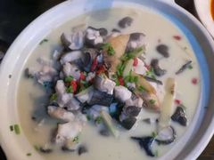 -印象鲵宴·张家界地标美食名片(溪布街店)