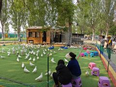 -长白岛森林公园