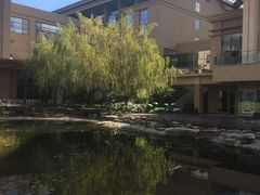 -昆明洲际酒店