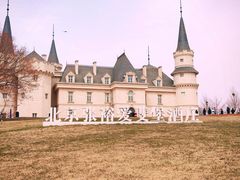 -北京张裕爱斐堡酒庄