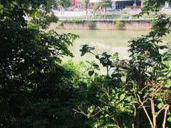 -成都市活水公园