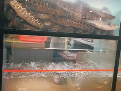 -李二鲜鱼(六堰大洋直营店)